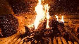 Timeline: foc
