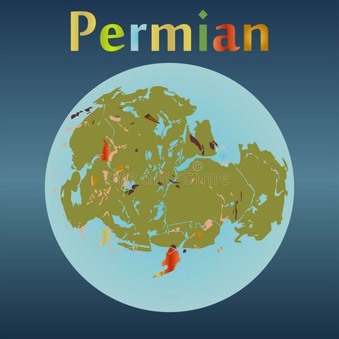 Perm