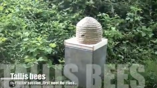 bees 1 the movie : created and uploaded my iMovie