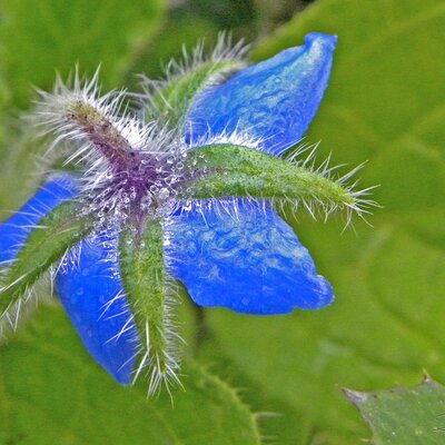 Timeline: Informática