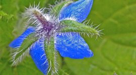 Timeline: Informática