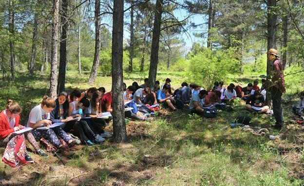 Hinstrucciones para el cuidado del medio ambiente