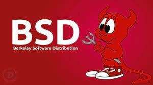 BSD