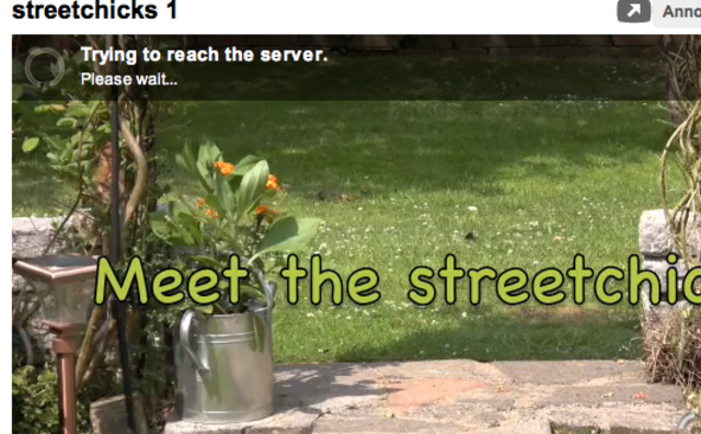 Streetchicks movie : this time adding some animation and speed/reverse functions