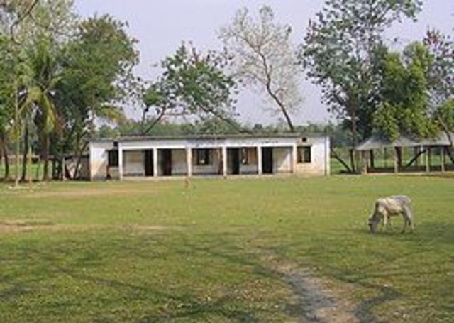 I was completed my primary school