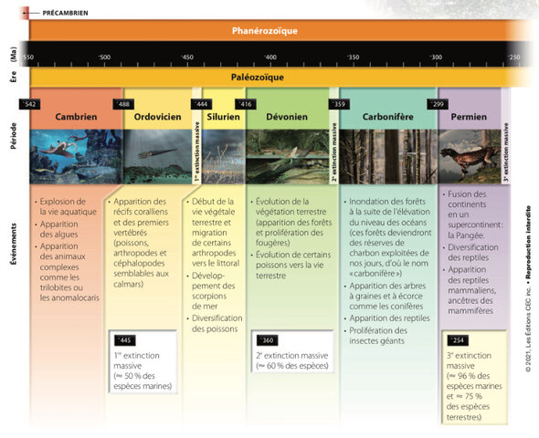 Le paléozoïque