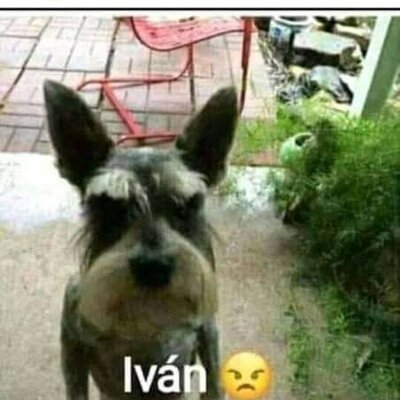 Timeline: La creación de Ivan