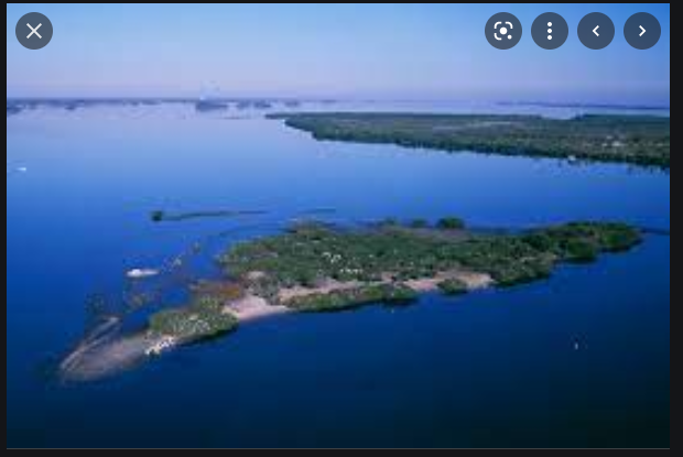 pelican island florida named first wildlife rescue