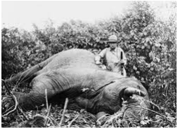 leaves presidency for Africa