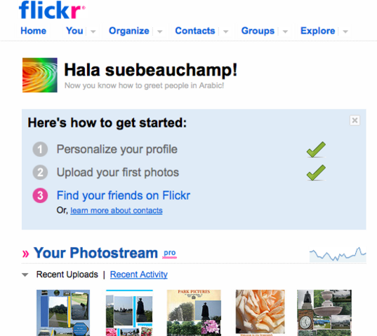 Flickr : in order to upload and link gallery pics to the website a flickr account has pre-set links so makes it easy also a good way to share images with friends