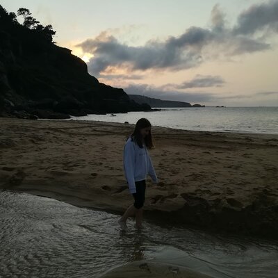 Timeline: La meva línia del temps