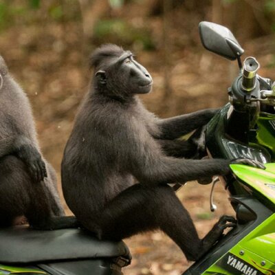 Timeline: La meva línia del temps