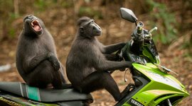 Timeline: La meva línia del temps