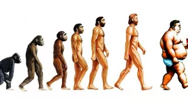 Timeline: Producto integrador, Linea del tiempo