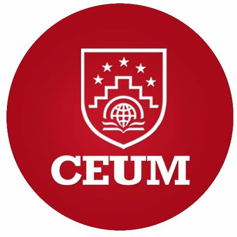 Entrega de Project 1.2- Digital Timeline (teams)