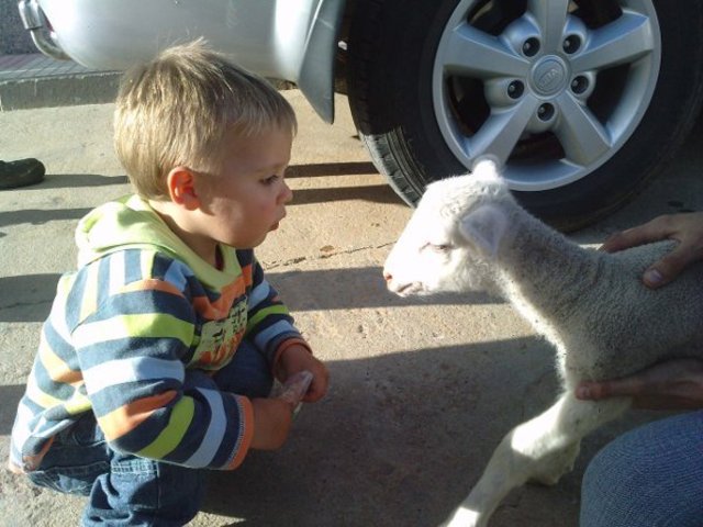 Dejo de llorar en la guarde.