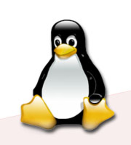 Nace LINUX