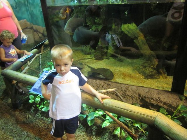 Vamos de excursión.