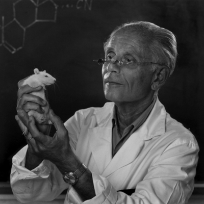 Timeline: Selye János  1907 - 1982