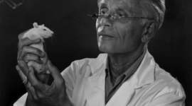 Timeline: Selye János  1907 - 1982