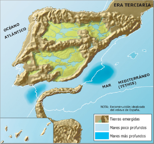 Era terciària