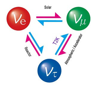 DESCOBRIMENT DEL NEUTRÍ