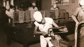 Timeline: Escolas Profissionais