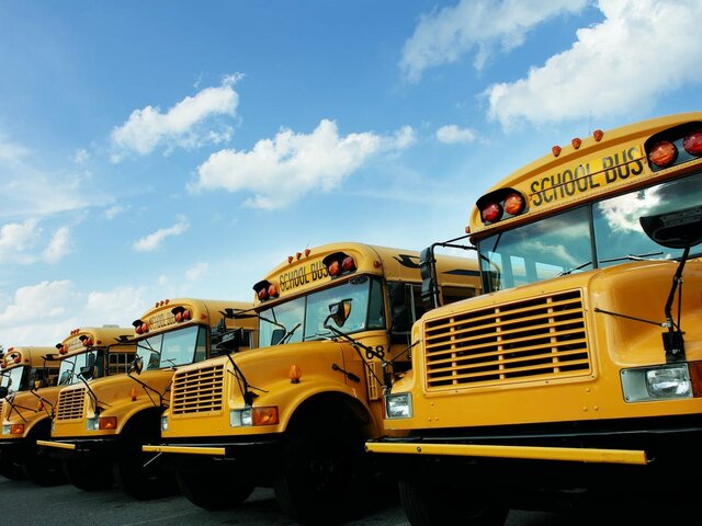 Devious Licks- Michigan