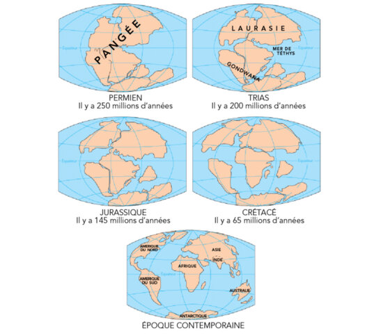 Dérive des continents