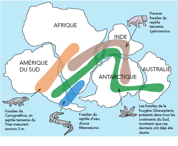 Dérives des continents (-250 000 000 ans)