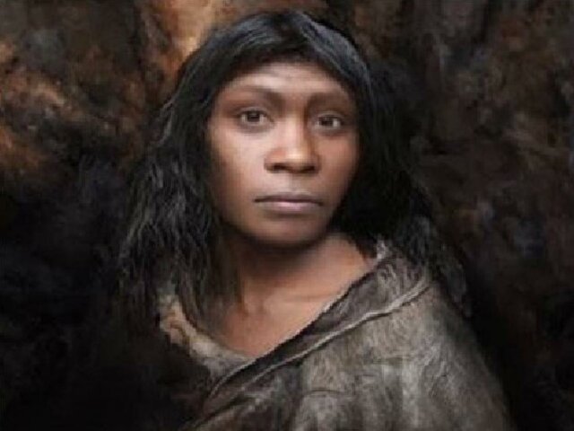 Homo antecessor ( encontrado en la gran Dolina de Atapuerca)