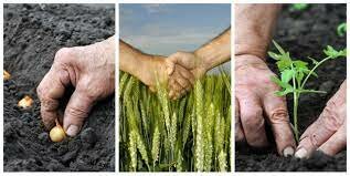 Comprensión de los ciclos de la naturaleza.