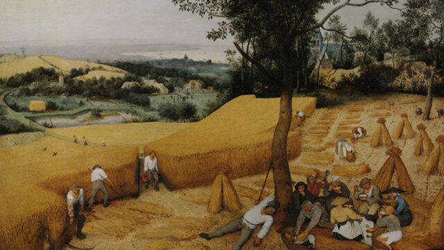 Hombre logra dominar la naturaleza