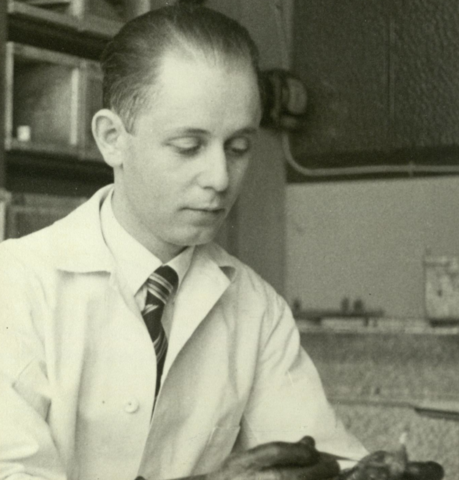 Selye János egyetemi tanulmányai 1924-1929