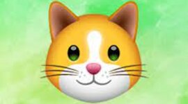 Timeline: Presidentes de 1960 a 2021