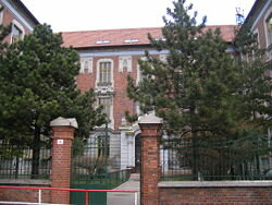 Selye János elemi és középiskolái 1913-1924