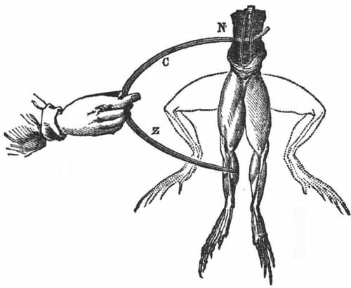 Descubrimiento de la electricidad animal: Luigi Galvani