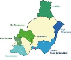 CULTURA DE LOS MILLARES