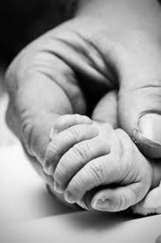 Walter Elias Disney is born