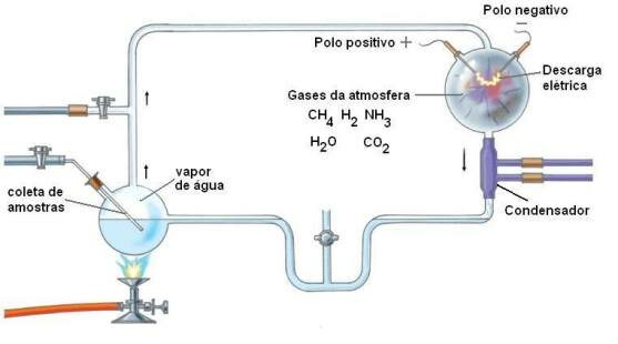 Descubrimiento del Deuterio: Harold Urey (estadounid ense)