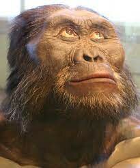 Nace el primer pre humano