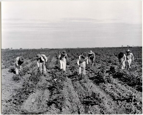 LAS FORMAS DE TRABAJO RURAL