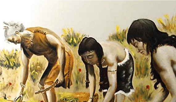 Primeros agricultores