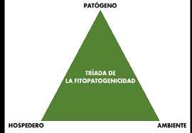 ¿LA TRÍADA DE ENFERMEDAD EN LA FITOPATOLOGÍA?