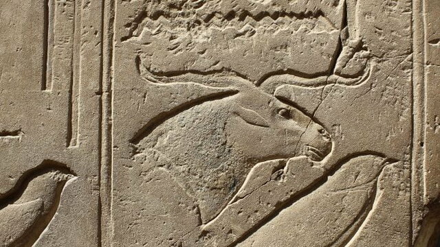 Tercer Periodo Intermedio Egipto