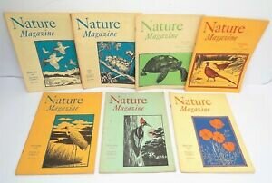 Selye első publikációja