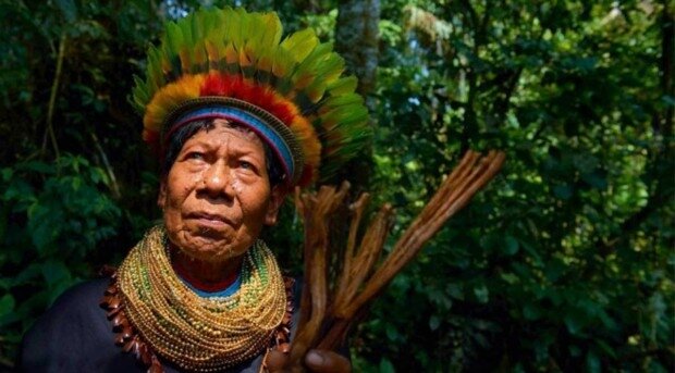 Sociedades indígenas actuales