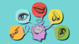 Timeline: ANTIGÜEDAD COMO EDUCANDO Y COMO DOCENTE