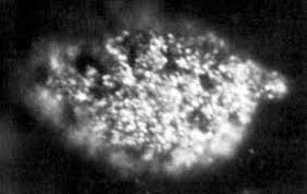 Descubrimiento del berquelio y californio.