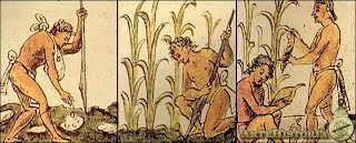 Primeras enfermedades infecciosas de plantas